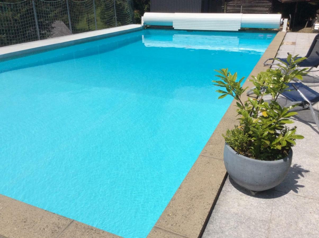Traumhafte Ferienwohnung Mit Pool Steinen (Lorrach) Exterior foto